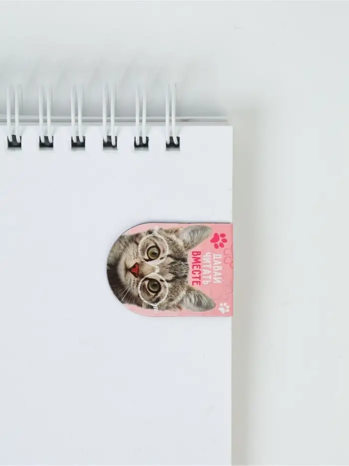 Закладки магнитные для книг, 6 шт. &laquo;Котики&raquo;