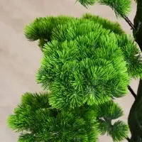 Дерево искусственное &laquo;Бонсай Кабудати&raquo;, h=70 см