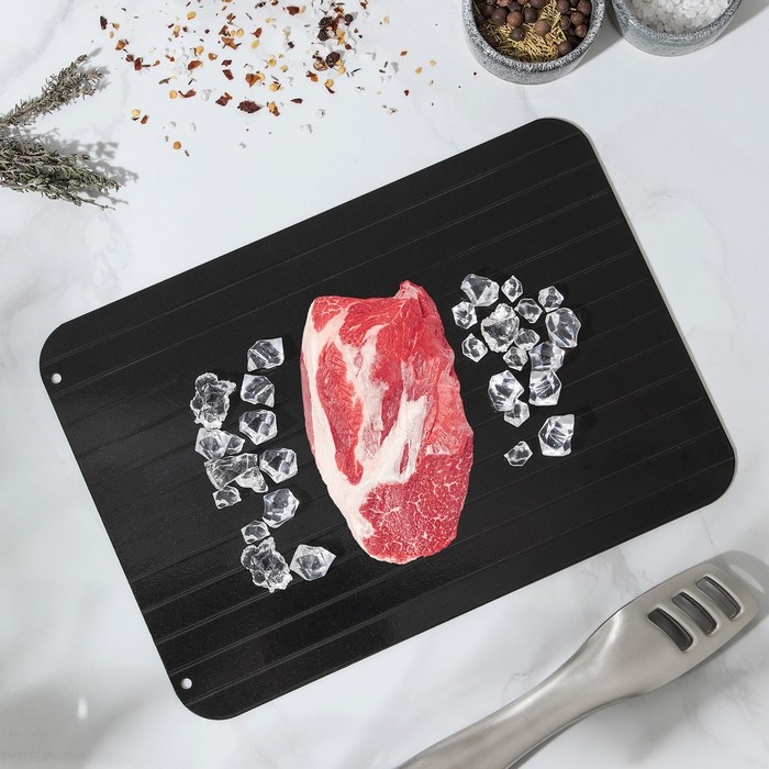 Противень для разморозки продуктов Доляна, 29,5×20,5 см, цвет чёрный Противень для разморозки продуктов Доляна, 29,5×20,5 см, цвет чёрный