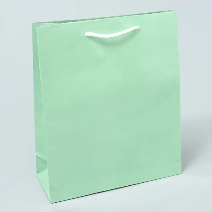 Пакет подарочный ламинированный, упаковка, «Зелёный», ML 21 х 25 х 8 см