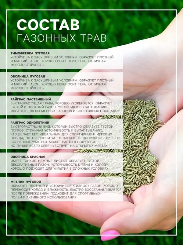 Газонная травосмесь, газон &laquo;Универсальный&raquo; 5 кг
