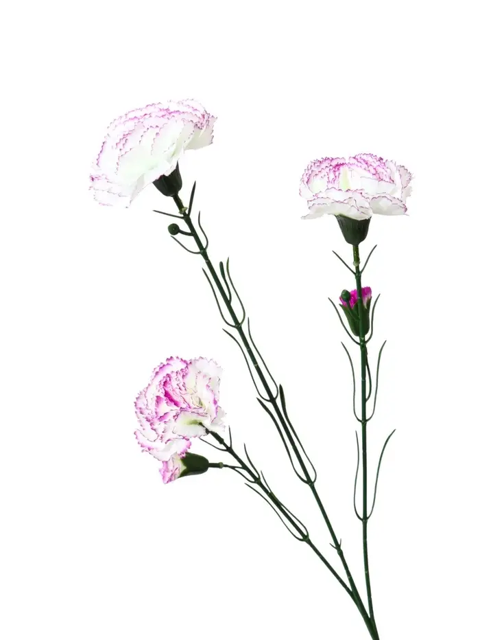 Цветы искусственные &laquo;Куст гвоздики&raquo;, h=70 см, d=7 см, МИКС