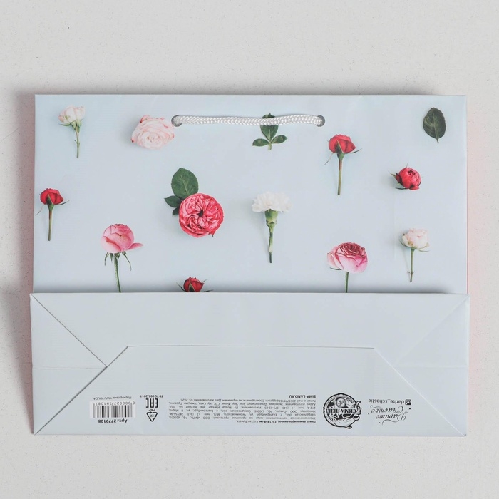 Пакет подарочный ламинированный горизонтальный, упаковка, «Ты прекрасна», MS 18 х 23 х 8 см