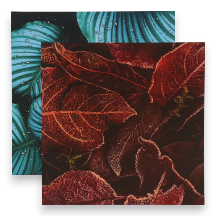 Фотофон двусторонний картон плотность 350 гр Фотофон двусторонний картон плотность 350 гр "Листья" 50х50 см