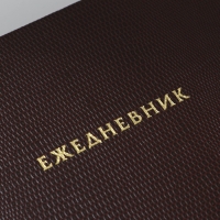 Ежедневник недатированный А5, 160 л. Твердая обложка. Кожзам. Кремовый блок. «Крокодил»