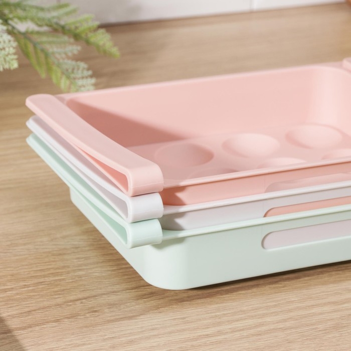 Полка для яиц в холодильник, подвесная, 12 ячеек, 26×17×5 см, МИКС