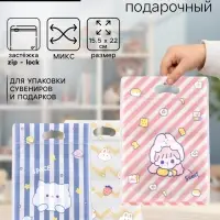 Пакет подарочный Zip-lock, &laquo;Корейский стиль&raquo;, 15.5&times;22+3.5 см МИКС
