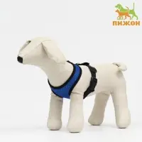 Шлейка мягкая из неопрена, размер S, ОШ 24 см, ОГ 24-34 см, синяя