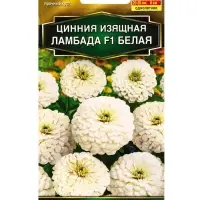 Семена цветов Цинния Ламбада F1 белая Золотая серия, Ц/П,12 шт. Семена цветов Цинния Ламбада F1 белая Золотая серия, Ц/П,12 шт.