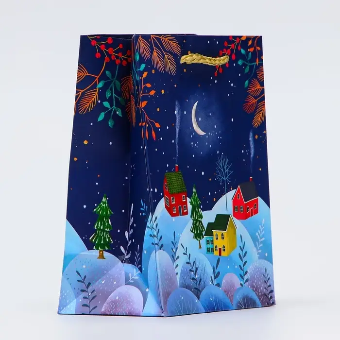 Пакет подарочный «Зимняя ночь», 11.5×14.5×6.5 см Пакет подарочный «Зимняя ночь», 11.5×14.5×6.5 см