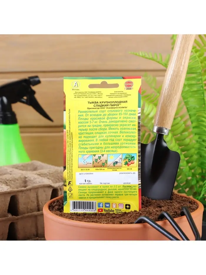 Набор семян Тыква крупноплодная "Сладкий пирог", 5 шт.