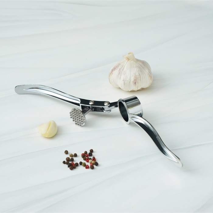 Пресс для чеснока Доляна «Эрнест», 15 см, цвет серебряный Пресс для чеснока Доляна «Эрнест», 15 см, цвет серебряный