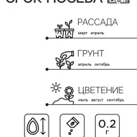 Семена Астра "Тысяча чудес", ц/п, темно-синяя 0,2 гр. Семена Астра "Тысяча чудес", ц/п, темно-синяя 0,2 гр.