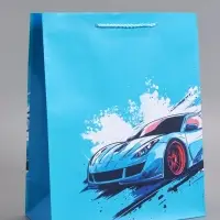 Пакет подарочный "Чёткий акцент" ламинированный 26 х 12 х 32 см