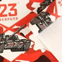 Бумага упаковочная глянцевая «23 февраля», 70 х 100 см