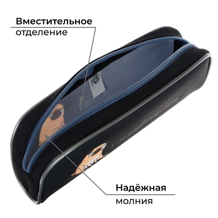 Пенал мягкий, 1 отделение, 80 х 210 х 40 мм, объёмный, Calligrata ПМО 21-20, Пенал мягкий, 1 отделение, 80 х 210 х 40 мм, объёмный, Calligrata ПМО 21-20, "Мопс"