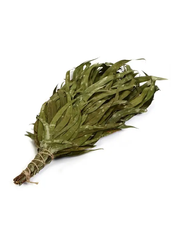 Веник для бани, эвкалиптовый, 53 (&plusmn;2) см, &laquo;Добропаровъ&raquo;