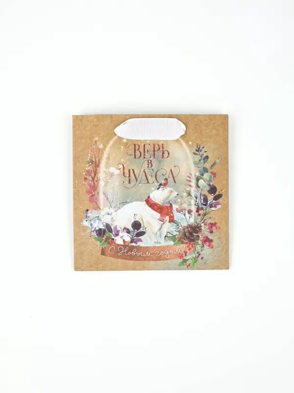 Набор новогодних пакетов &laquo;Верь в чудеса&raquo;