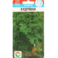 Семена Петрушка "Кудрявая", 1 г