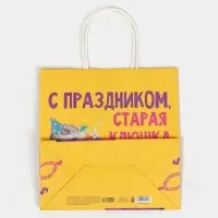 Пакет подарочный &laquo;Старая клюшка&raquo;, 22&times;22&times;11 см