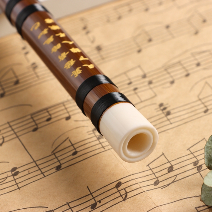 Флейта Music Life 48 см, бамбук, тональность G Флейта Music Life 48 см, бамбук, тональность G