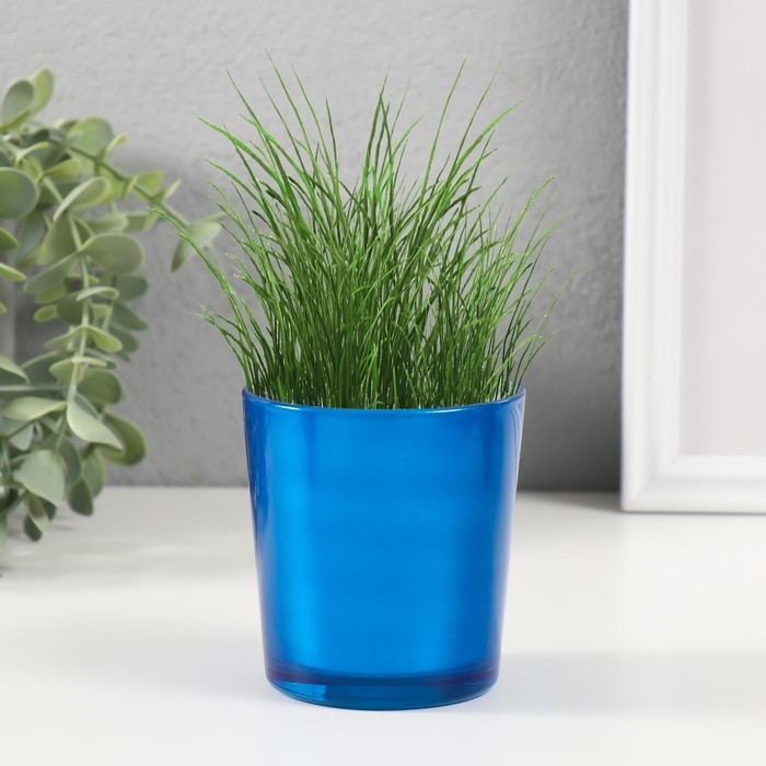 Набор для выращивания растений Набор для выращивания растений "Вырасти травку" синий