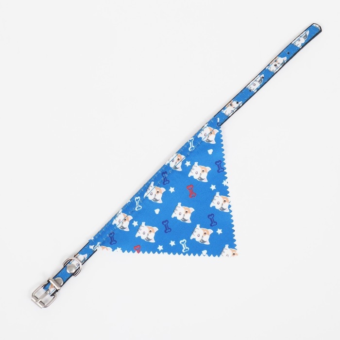 Ошейник с косынкой Ошейник с косынкой "Яркая жизнь", 32 х 1 см, синий