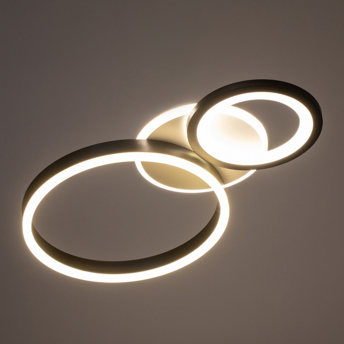 Люстра Люстра "Лилия" 76Вт LED Белый, черный 2700-6400k 50х30х7см