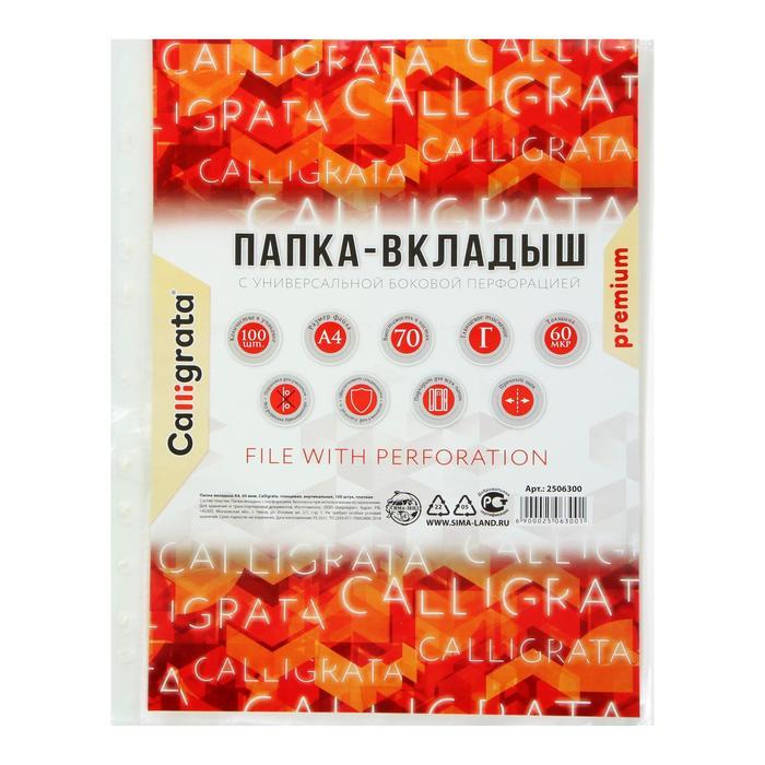 Файл-вкладыш А4, 60 мкм, Calligrata, плотные, глянцевый, вертикальный, 100 штук Файл-вкладыш А4, 60 мкм, Calligrata, плотные, глянцевый, вертикальный, 100 штук