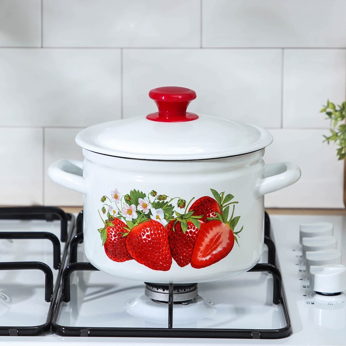 Кастрюля эмалированная цилиндрическая, 5 л, индукция, деколь МИКС, цвет белый Кастрюля эмалированная цилиндрическая, 5 л, индукция, деколь МИКС, цвет белый