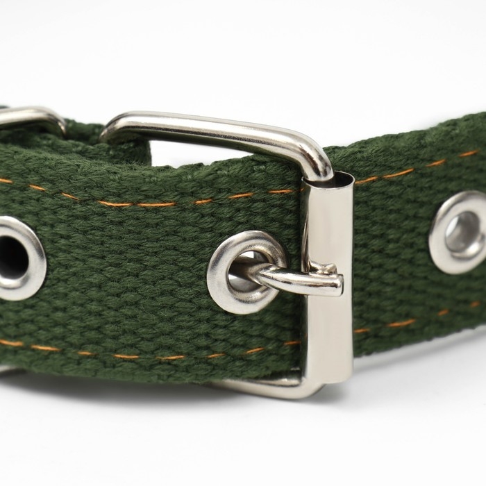 Ошейник брезентовый двухслойный, 59,5 х 2,5 см, хаки Ошейник брезентовый двухслойный, 59,5 х 2,5 см, хаки