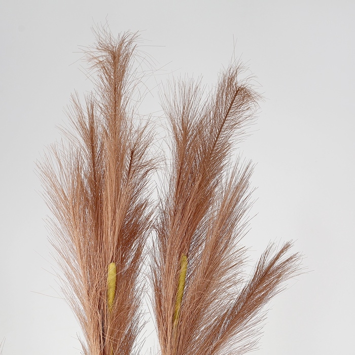 Пампасная искусственная трава высота 1 метр, набор 3 шт., цвет коричневый Пампасная искусственная трава высота 1 метр, набор 3 шт., цвет коричневый