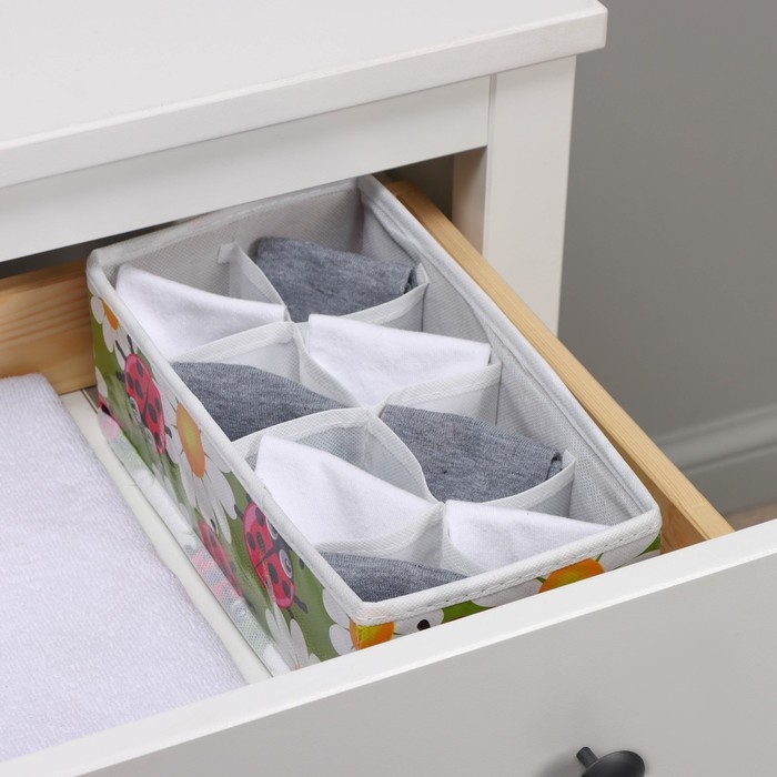 Органайзер для хранения белья Доляна «Божьи коровки», 8 ячеек, 28×14×10 см, цвет зелёный Органайзер для хранения белья Доляна «Божьи коровки», 8 ячеек, 28×14×10 см, цвет зелёный