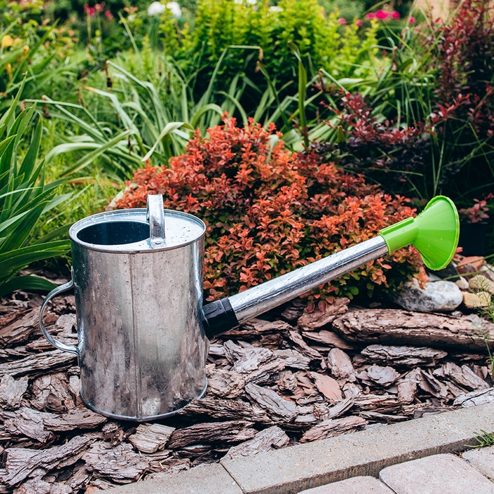 Лейка, 5 л, с рассеивателем, оцинкованная, без рисунка, носик d = 25 мм Лейка, 5 л, с рассеивателем, оцинкованная, без рисунка, носик d = 25 мм