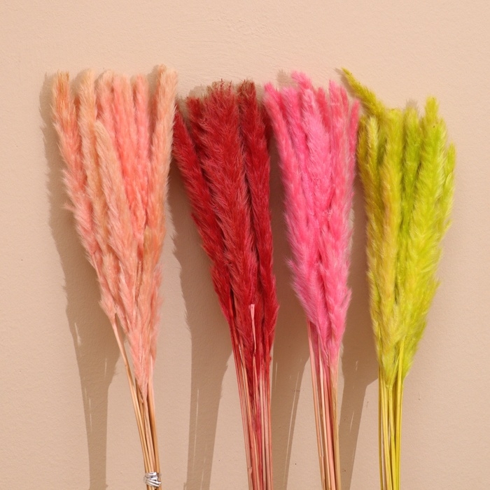 Набор сухоцветов 80 см (10 шт) цвет микс Набор сухоцветов 80 см (10 шт) цвет микс