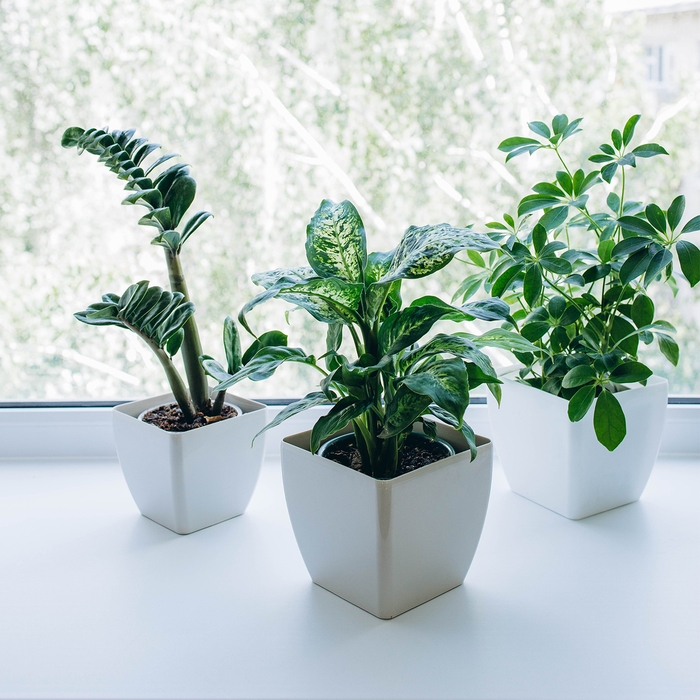 Горшок для цветов, 15 × 15 см, 2,5 л, пластик, белый Горшок для цветов, 15 × 15 см, 2,5 л, пластик, белый