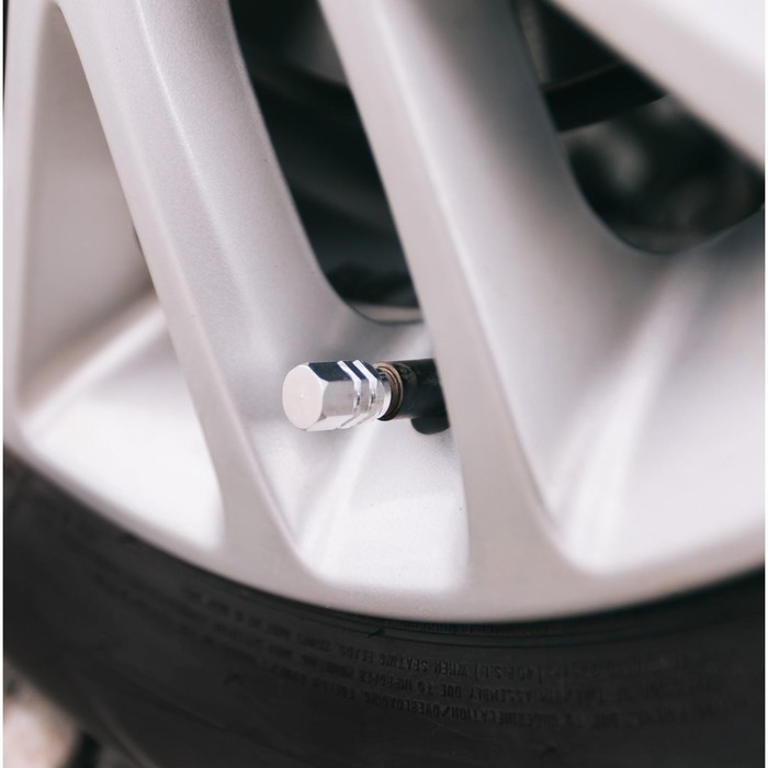 Колпачок на вентиль Torso, хром, набор 4 шт Колпачок на вентиль Torso, хром, набор 4 шт