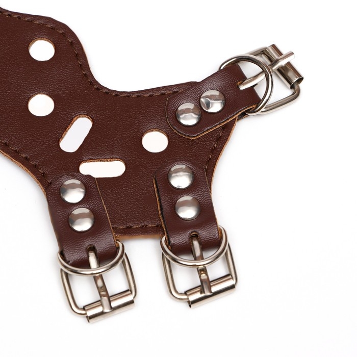 Намордник из прессованной кожи регулируемый, №1, ДН 4,5 см, ОМ 13-20 см, коричневый Намордник из прессованной кожи регулируемый, №1, ДН 4,5 см, ОМ 13-20 см, коричневый