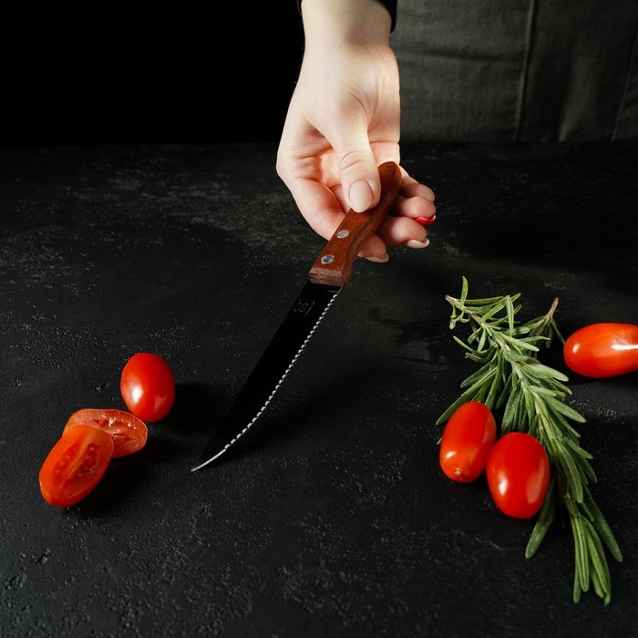 Нож кухонный Доляна «Эльбрус», зубчатое лезвие 11,5 см Нож кухонный Доляна «Эльбрус», зубчатое лезвие 11,5 см