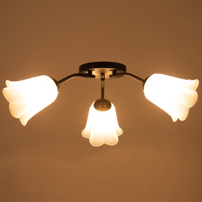 Люстра Люстра "Онлайн" (цветок) 3х15Вт Е27 МОДЕЛЬ: BR 00235 черный/прозрачный