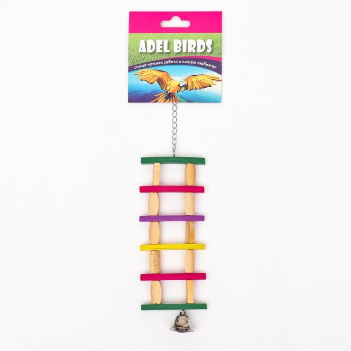 Игрушка для птиц  Игрушка для птиц "Лесенка", микс