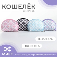 Кошелёк на молнии, цвет МИКС