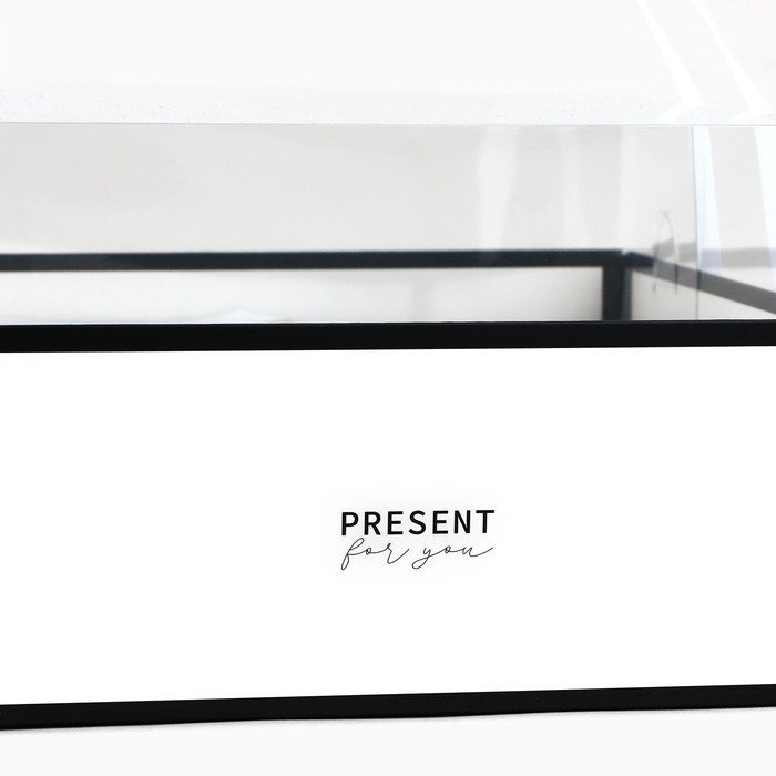 Коробка для цветов с формовым вкладышем и PVC крышкой «Present», 23.5 х 23.5 х 15 см Коробка для цветов с формовым вкладышем и PVC крышкой «Present», 23.5 х 23.5 х 15 см