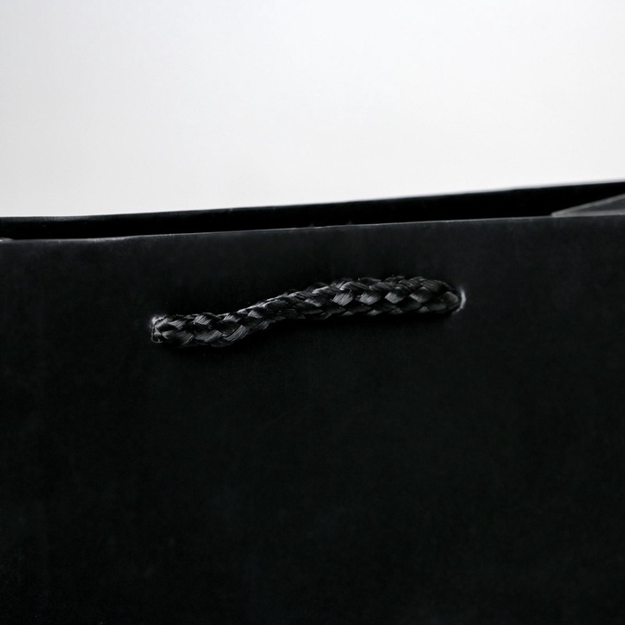 Пакет подарочный ламинированный, упаковка, «Чёрный», MS 18 х 23 х 8 см