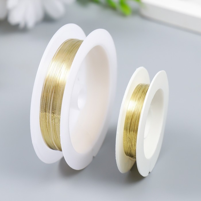 Проволока для творчества  Проволока для творчества "Astra" 0,2 мм, 10 м, золото