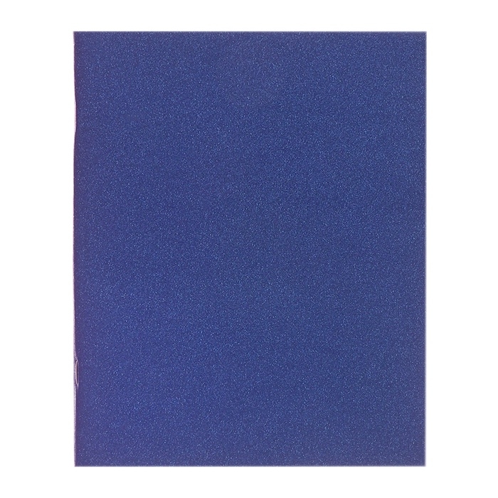 Тетрадь 48л кл VIGO бумвинил VA0203 синий, блок №2