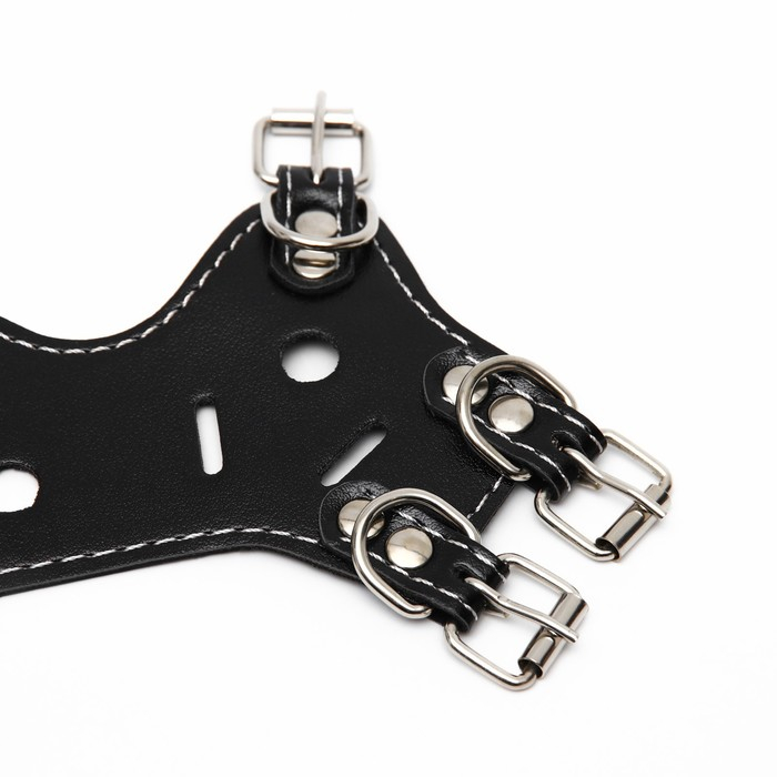 Намордник из прессованной кожи регулируемый, №2, ДН 5 см, ОМ 15-22 см, чёрный Намордник из прессованной кожи регулируемый, №2, ДН 5 см, ОМ 15-22 см, чёрный