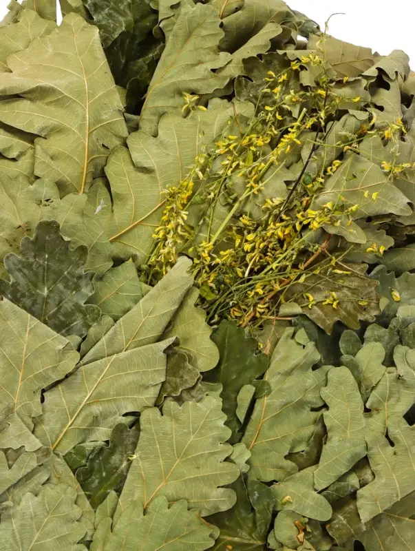 Веник для бани, дубовый, 45 см, с донником