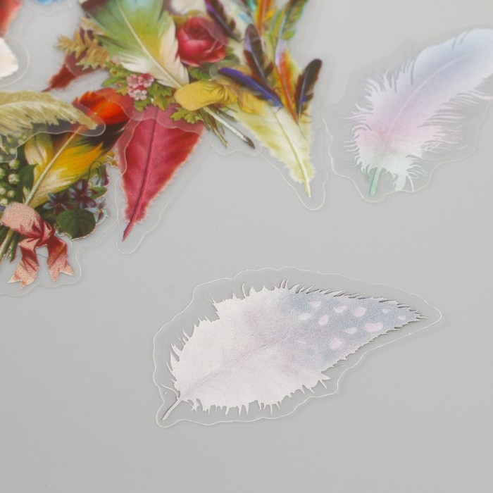 Наклейки для творчества пластик PVC Наклейки для творчества пластик PVC "Яркие перья" набор 60 шт 10х14 см