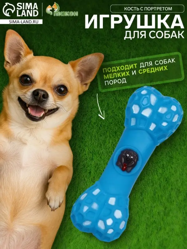 Игрушка для собак &laquo;Кость с портретом&raquo;, 15 см, пищащая, винил, голубая